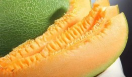 蜜瓜几月吃的,尽享清凉甜蜜时光