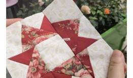 蘑菇爆料吃瓜视频,揭秘吃瓜视频背后的真相与幕后故事