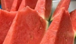 享受吃瓜,揭秘吃瓜群众的快乐源泉