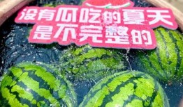 周六吃瓜日,揭秘娱乐圈新鲜事