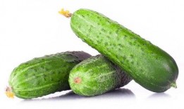 枫与玲吃瓜,枫与玲的瓜田奇遇记