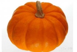 北方大白瓜怎么吃