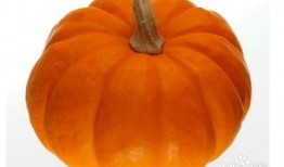 北方大白瓜怎么吃