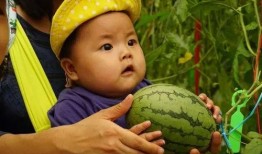 有没有大型吃瓜群,网络舆论场中的焦点聚集地