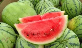 今日吃瓜成都mc,揭秘娱乐圈最新热点