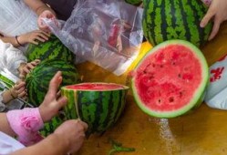 德国视频吃瓜,一场别开生面的视频吃瓜盛宴