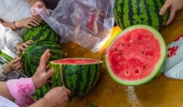 德国视频吃瓜,一场别开生面的视频吃瓜盛宴