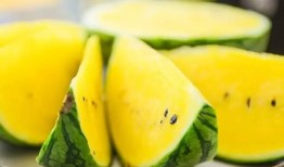 新沂王庄吃瓜,一场别开生面的“吃瓜”盛宴