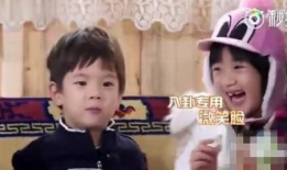 小刘吃瓜在线,揭秘网络热点的背后故事