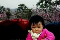 花子在线吃瓜,揭秘娱乐圈幕后故事