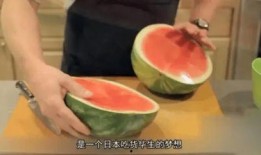 中国吃瓜群众在国外吃瓜,中国网友的跨国“瓜田”奇遇