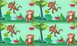 猴王吃瓜故事道具介绍,奇趣道具助力奇幻冒险