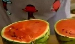 张力吃瓜,揭秘娱乐圈幕后真相