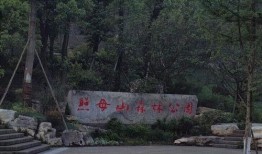 重庆公园吃瓜,悠闲生活里的甜蜜时光