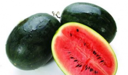 瓶子吃瓜xyg,揭秘xyg背后的神秘故事