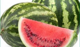 痛风可以吃复瓜吗,复瓜成为饮食新选择