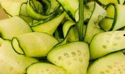 如何拍吃瓜照片视频