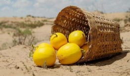 美团的瓜吃,从瓜吃到真相，探寻行业巨头背后的故事