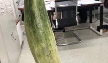 保定某商场吃瓜,一地瓜皮引发的全民热议