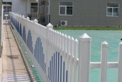 吃瓜体育生围栏,揭秘吃瓜群众的体育盛宴