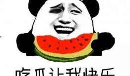 吃瓜群众还在吗,娱乐圈风云再起，谁将成下一个焦点？