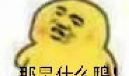 吃瓜群众搞笑照片,那些让人捧腹的搞笑照片大盘点