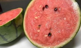 吃踩瓜,尽享踩瓜乐趣