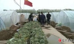 宿迁大学吃瓜,揭秘校园生活趣味瞬间