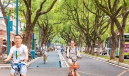 长沙步行街吃瓜,瓜果飘香，美食地图探秘