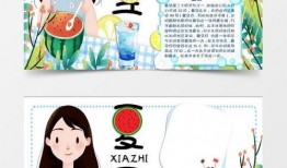 吃瓜小报,吃瓜小报带你领略幕后风云