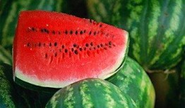 怀孕可以吃胡子瓜,胡子瓜的营养与美味