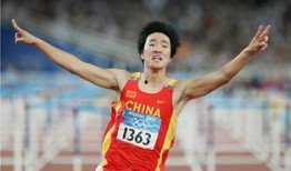 吃瓜群众评价刘翔