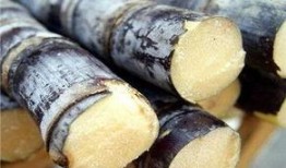 吃哈密瓜可以吃甘蔗吗,夏季水果搭配新主张