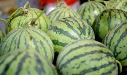 吃瓜视频壁纸高清,视觉盛宴，一睹为快