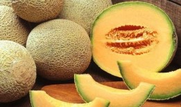 吃哈密瓜的人,品味人生甘甜瞬间
