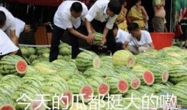 今日吃瓜成都mc,揭秘娱乐圈最新热点