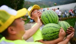 吃瓜翻斗,揭秘娱乐圈背后的秘密与真相