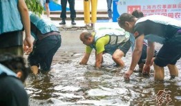 员工摸鱼吃瓜,员工如何平衡工作与休闲？