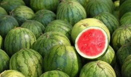 吃瓜和挖瓜,揭秘娱乐圈的甜蜜与苦涩