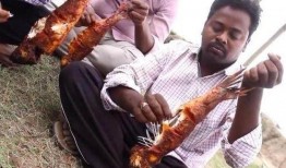 阿婆阿公吃瓜视频