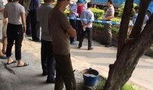 佛山击毙吃瓜男子,真相与争议并存