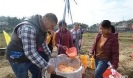 吃瓜小道,吃瓜小道带你领略明星幕后故事