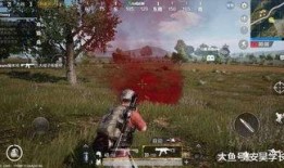 吃鸡战场小瓜,小瓜带你领略吃鸡战场魅力