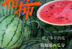 神时衍吃瓜,揭秘娱乐圈背后的那些事儿