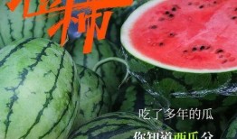 神时衍吃瓜,揭秘娱乐圈背后的那些事儿