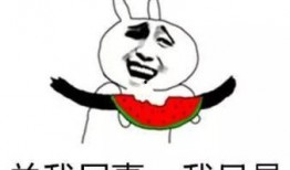 为什么说吃瓜不信瓜,网络舆论背后的真相探寻