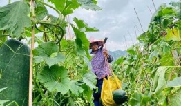 劲爆吃瓜无毒,揭秘娱乐圈幕后真相