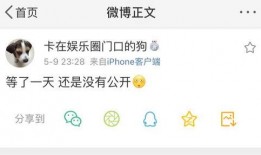 教练吃瓜爆料,吃瓜爆料背后的体育圈风云