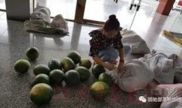 无人唱歌厅吃瓜,揭秘现代娱乐新潮流