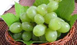 吃瓜吃葡萄健康指南,健康生活新主张